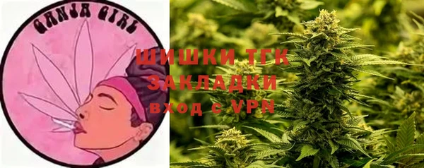 хмурый Волосово