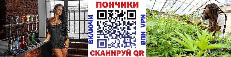 OMG ONION  Якутск  Бошки Шишки сатива 